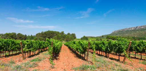 Similar image 8276143