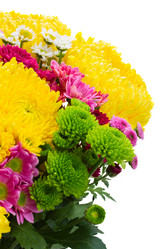 Similar image 8276151