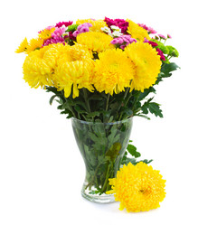 Similar image 8276152