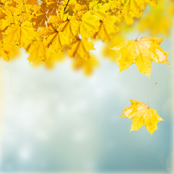 Similar image 8276154