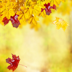 Similar image 8276156