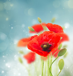 Similar image 8276158