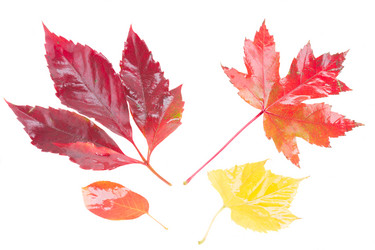 Similar image 8276159