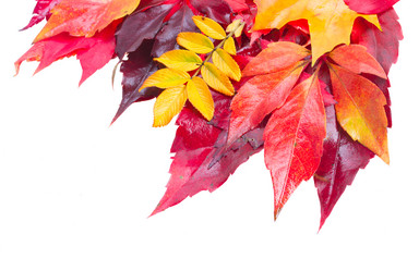 Similar image 8276160