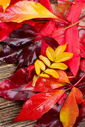 Similar image 8276167