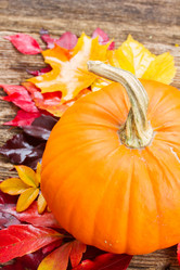 Similar image 8276168