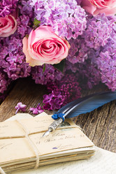 Similar image 8276177