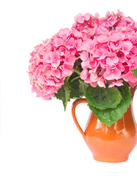 Similar image 8276181