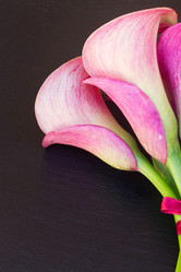 Similar image 8276182