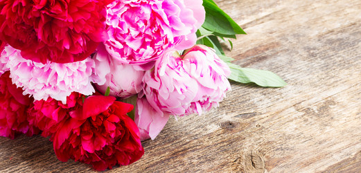 Similar image 8276193