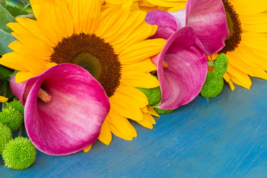 Similar image 8276195