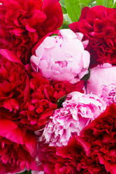 Similar image 8276199