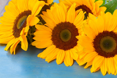 Similar image 8276204