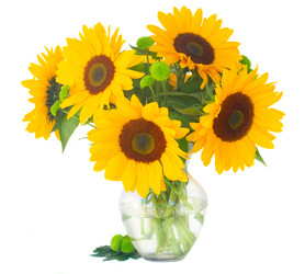 Similar image 8276206