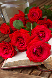 Similar image 8276212