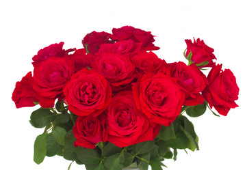 Similar image 8276215