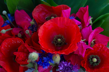 Similar image 8276218