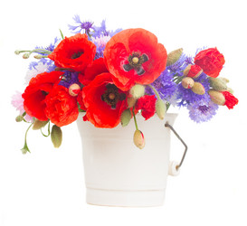 Similar image 8276229