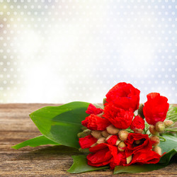 Similar image 8276230