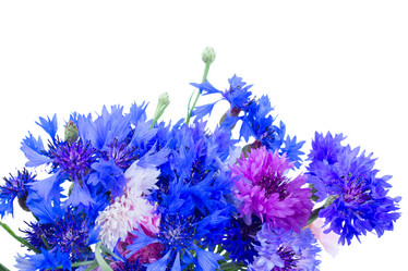 Similar image 8276241