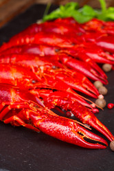 Similar image 8276247