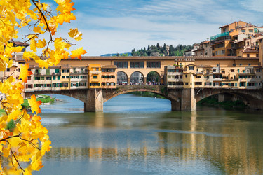 Similar image 8276262