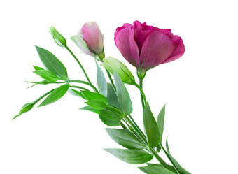 Similar image 8276264