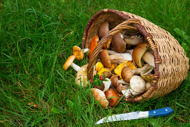 Similar image 8276270