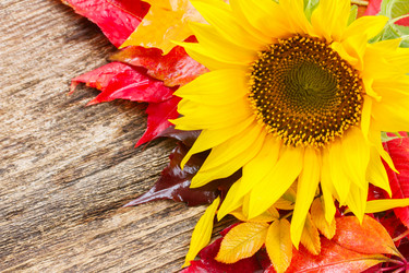 Similar image 8276271