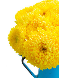 Similar image 8276275