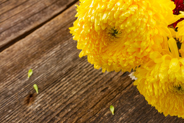 Similar image 8276277