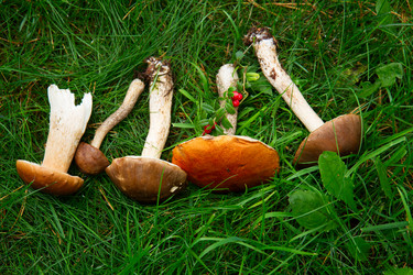 Similar image 8276281