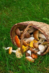 Similar image 8276282