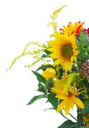 Similar image 8276284