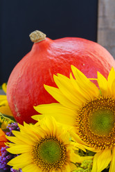 Similar image 8276285