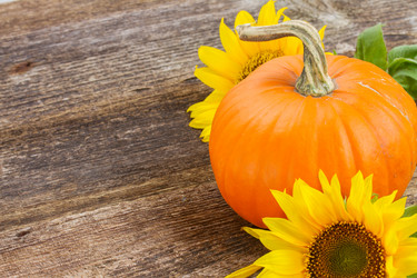 Similar image 8276287