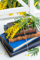 Similar image 8276294