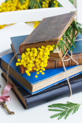 Similar image 8276296