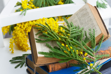 Similar image 8276297