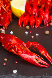 Similar image 8276316