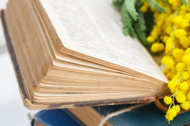 Similar image 8276321