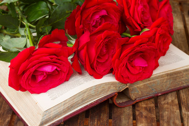 Similar image 8276326