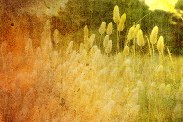 Similar image 8276346