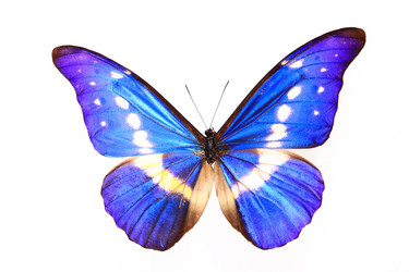 Similar image 8276399