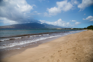 Similar image 8276405