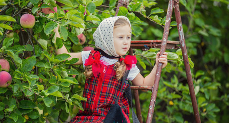 Similar image 8276420