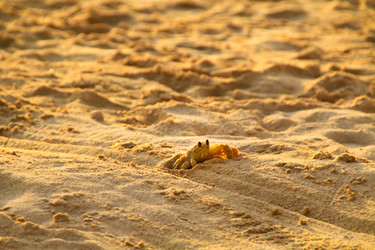 Similar image 8276451