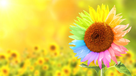 Similar image 8276492