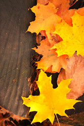 Similar image 8276494