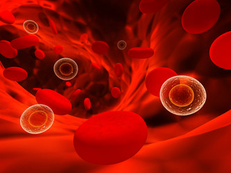 Similar image 8276503